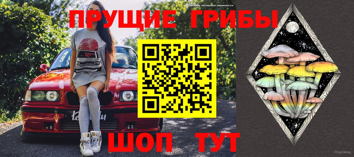 Галлюциногенные грибы ЛСД  Вход с VPN  Пугачёв  Псилоцибиновые грибы ЛСД 