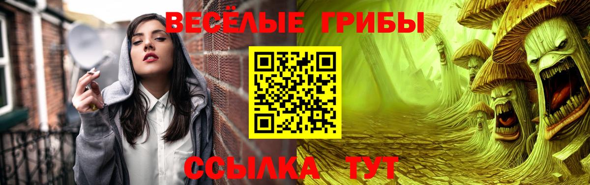 Псилоцибиновые грибы Magic Shrooms Пугачёв