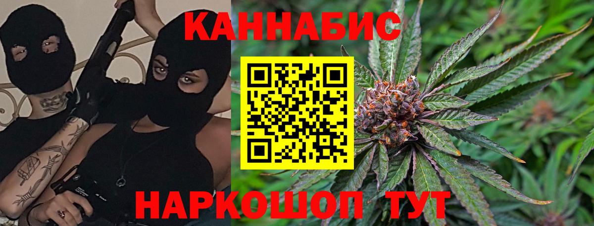 Шишки марихуана ГИДРОПОН  Канабис планчик  Шишки марихуана MAZAR  Пугачёв  Вход с VPN 